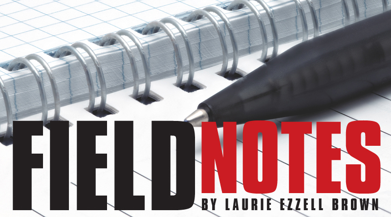 Field Notes