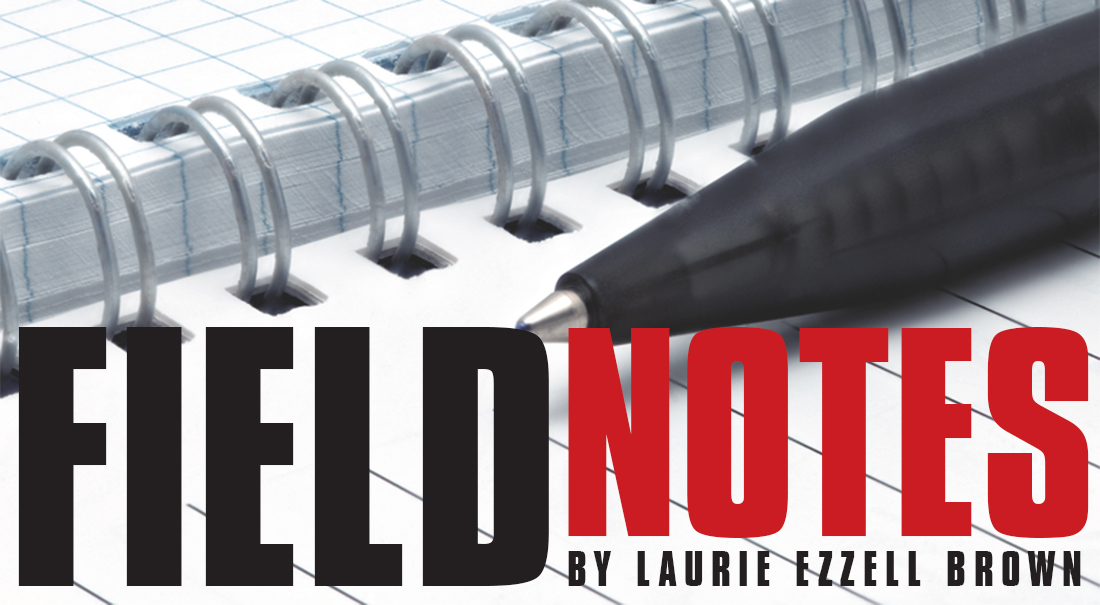 Field Notes...From the Record Archives