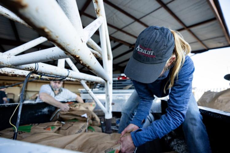Texas A&M AgriLife Extension Service Agriculture and Natural Resources Agent Megan Eikner loads bags of feed onto trucks at the animal supply point located at the Hutchinson County Airport in Borger. (Texas A&M AgriLife photo by Sam Craft)