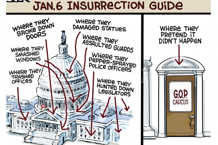 EDITORIAL CARTOON: Jan. 6 Insurrection Guide