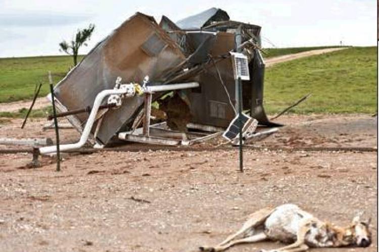 Thursday’s tornado caused havoc at this FourPoint location just off the Booker Highway, twisting heavy metal oil tanks and ladder (at top), and mangling a meter house (above). Even this pronghorn antelope, lying in the foreground, could not outrun the twister’s deadly reach.