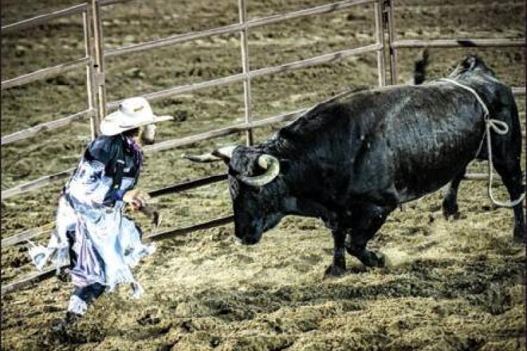 BULLFIGHTER ALEX PAREDES