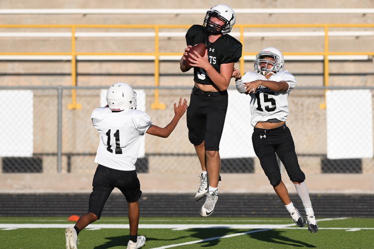 8th-Grade Cats vs Mules