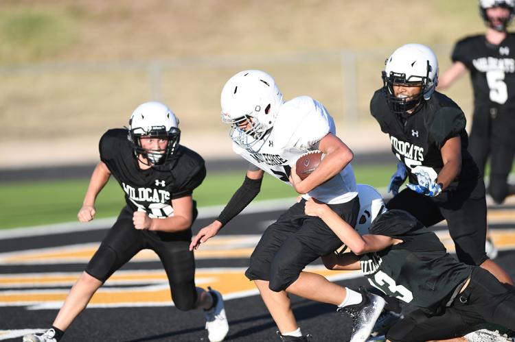 8th-Grade Cats vs Mules