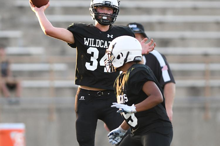8th-Grade Cats vs Mules