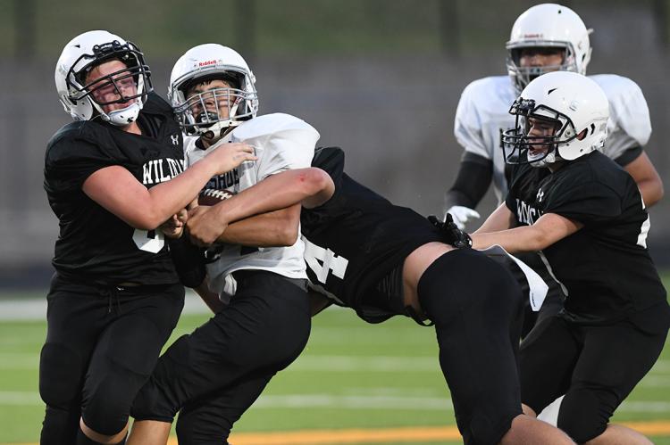 8th-Grade Cats vs Mules