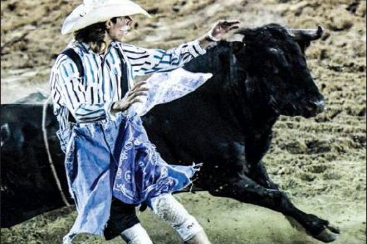BULLFIGHTER LUKE MASTERS