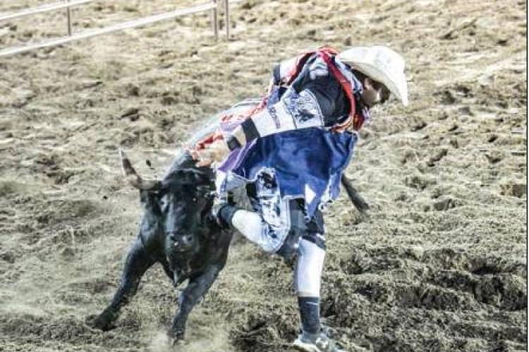 BULLFIGHTER TY POWELL