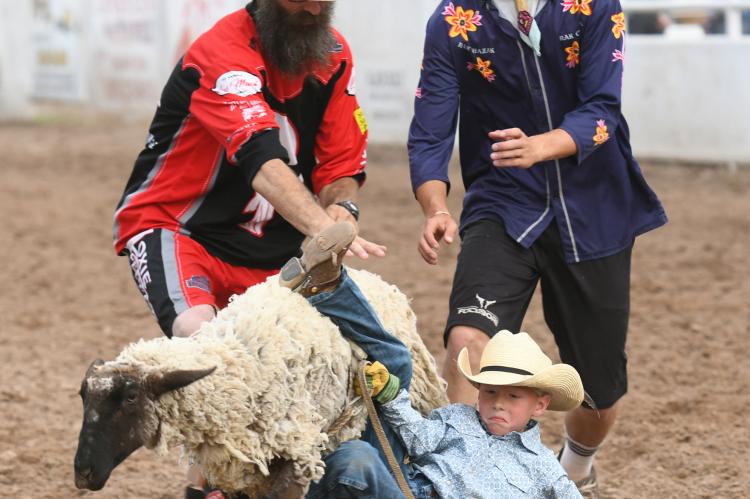 Mutton Busting