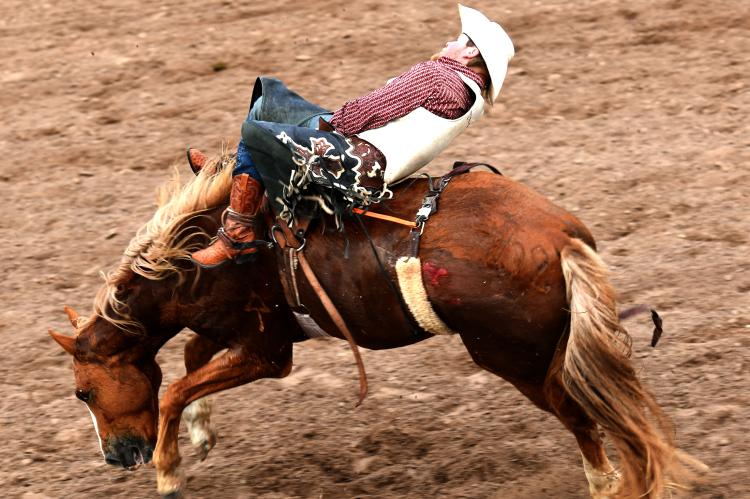 The July 4th Rodeo