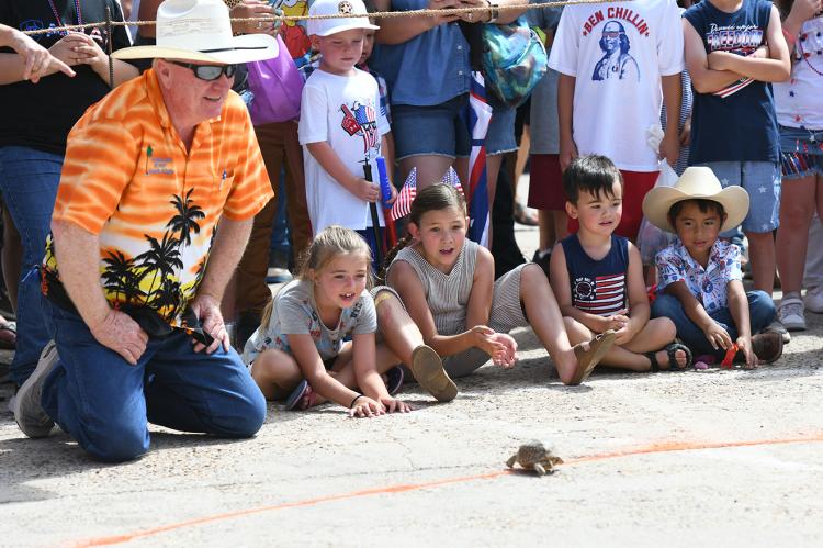 The Turtle Race