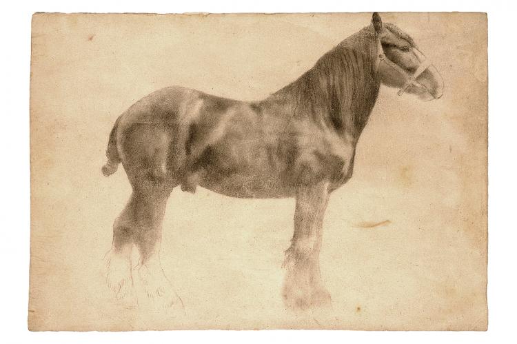 PLOUGH HORSE, ca 1860-61; graphite drawing