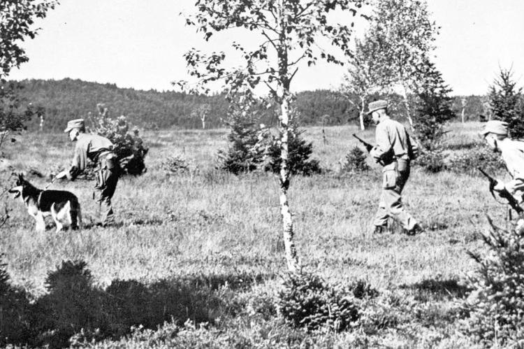Wilberforce trains a dog team on patrol during the Korean war.