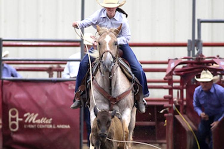 Elle Erickson, Breakway Roping