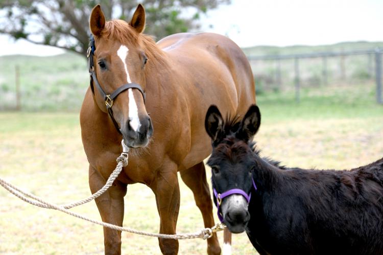 Yessir Imareddie pictured with her companion, Mariana Falina Rachelle Anesse