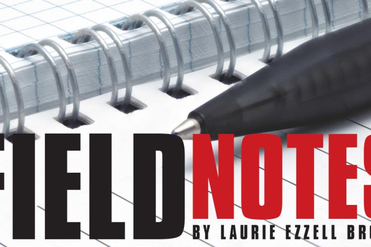 Field Notes