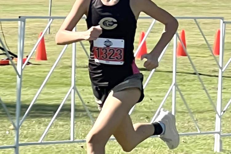 Maile Quisenberry