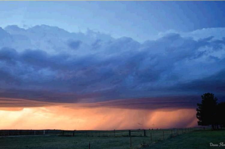 Storm