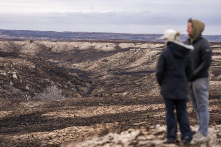 In the wake of disasters like the massive fires in the Texas Panhandle, family and friends are encouraged to watch one another for signs of mental health stress and struggles. (Texas A&M AgriLife photo by Sam Craft) 