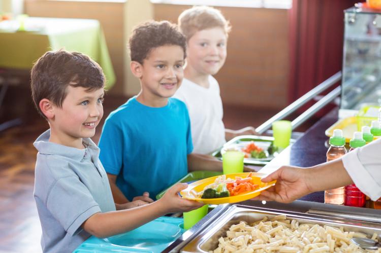School lunch program information