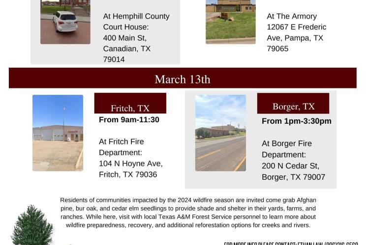 Texas A&M Forest Service Tree GiveAway