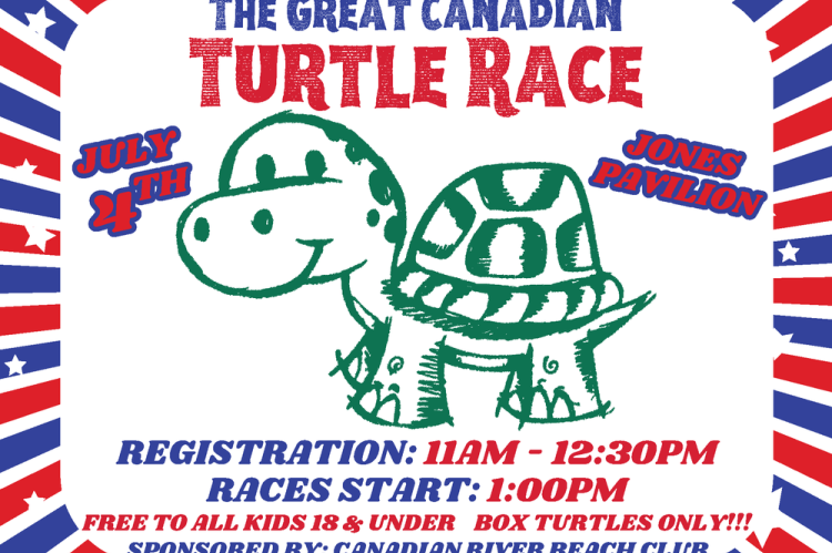 Turtle Race