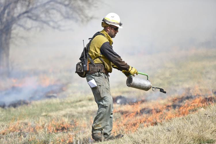April 2 2019 prescribed burn at Gene Howe WMA