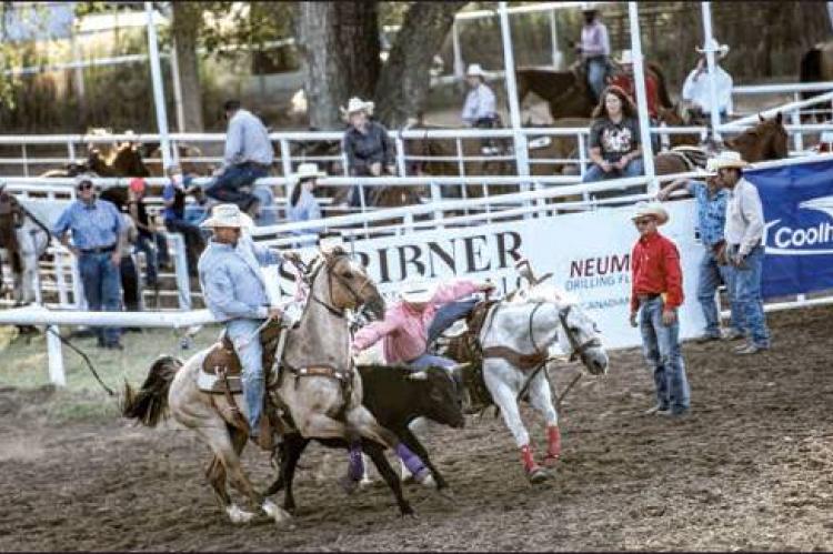 rodeo