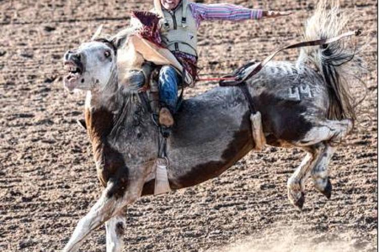 WALSH, COLORADO BAREBACK BRONC RIDER COLTON CRAWFORD