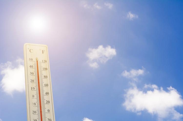 Summer temperatures