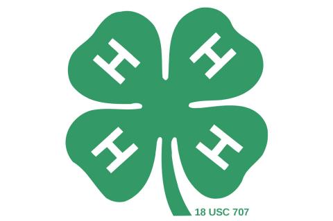 4-H