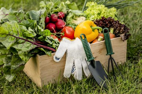 Gardening