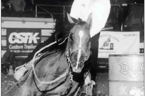 Local barrel racer notches OKC win