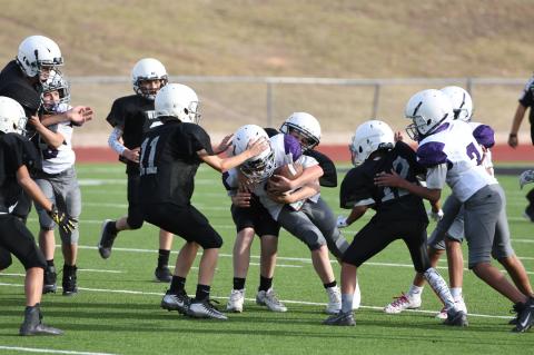7th Grade Wildcats