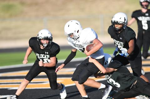 8th-Grade Cats vs Mules
