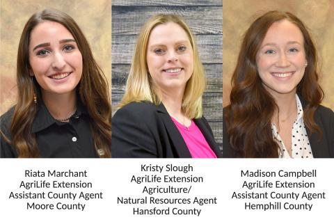 AgriLife Extension agents