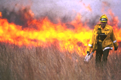 For ranchers that prefer to use prescribed burns to reduce fuel that feeds a fire, the Texas A&amp;M Forest Service recommends the use of a certified prescribed burn manager to oversee this method.