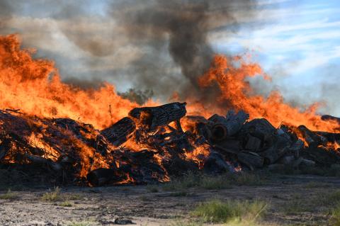 Burn pile