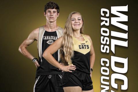 wildcat XC 