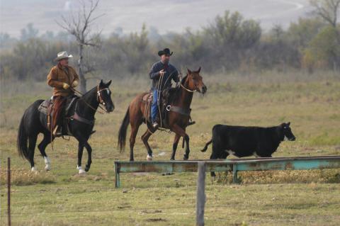 Texas and Southwestern Cattle Raisers Association