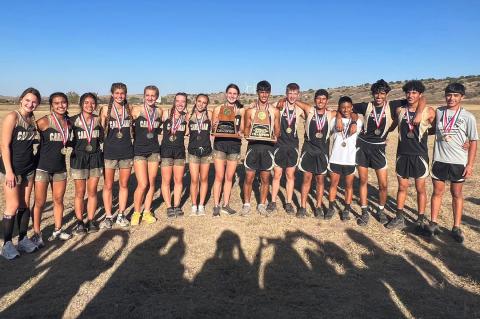 Cross-country runners