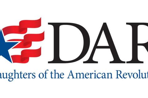 Texas DAR logo