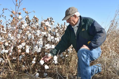 Family Farming makes the grade in Hemphill County