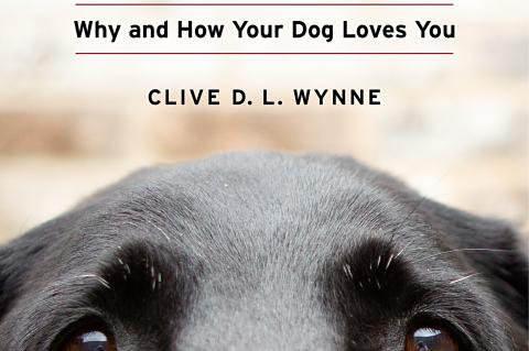Dog Is Love