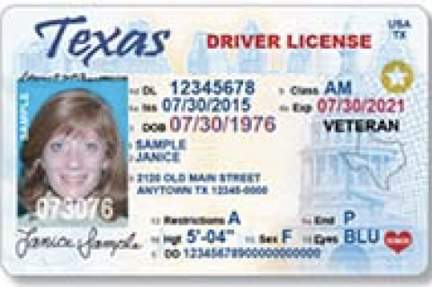Driver's License