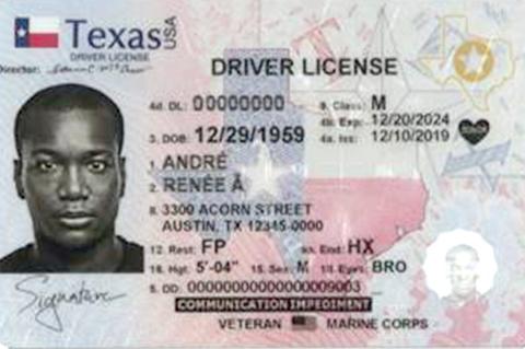 Driver's License