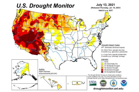Drought Monitor
