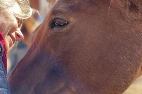 Dove Creek Equine Rescue