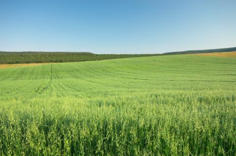 Farmland