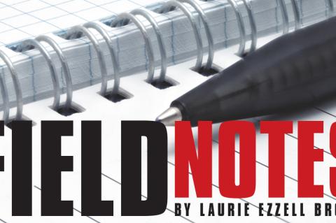 Field Notes